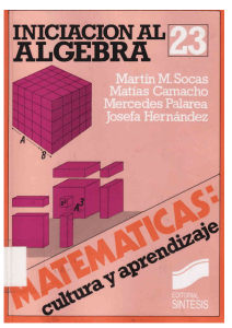 Iniciacion al algebra