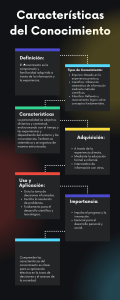 Infografía de proceso por pasos estilo técnico profesional cuadros de colores fondo negro