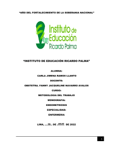 INSTITUTO DE EDUCACION RICARDO PALMA  MONOGRAFIA  (1)