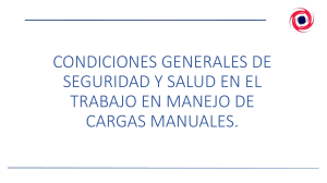 condiciones de seguridad en cargas manuales