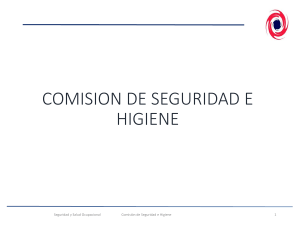 PRESENTACION COMISION DE SEGURIDAD E HIGIENE borrador