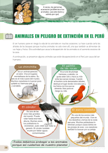 14 Animales en peligro e extinción en el Perú MInts