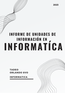 Informe de unidades de información en informatíca