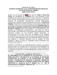 Ejemplo Base Constitutiva de Cooperativa