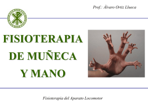 FISIOTERAPIA DE LA MUÑECA