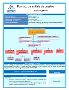 Formato-de-analisis-de-puestos- Director general