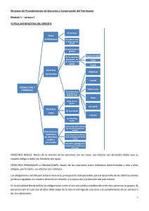 RESUMEN M1 Y 2