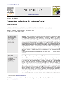 Enigma cortex prefrontal