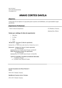 modelo de cv