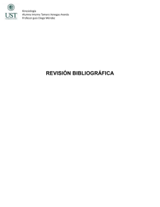 Revision bibliografica aerosolterapia