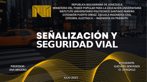 Señalizacion y  Seguridad Vial