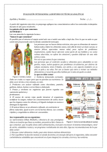 EVAL. INTEGRADORA ANALÍTICA