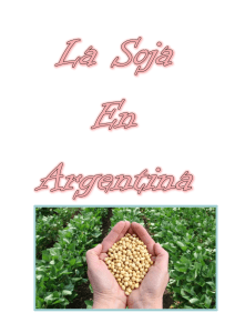 Cultivo de soja en Argentina