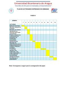PLAN DE ACTVIDADES EXPRESADO EN SEMANAS FASE III