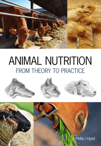 Animal Nutrition, From Theory to Practice