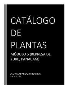 MODULO 5 LAURA II ICF