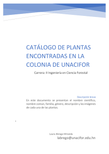 MÓDULO 1 DENDROLOGÍA