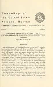 Flint (1963). Studies of Neotropical Caddisflies; Rhyacophilidae and Glossosomatidae (Trichoptera) .United States National Museum