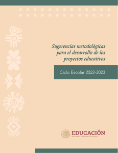 Sugerencias Metodologicas proyectos (1)