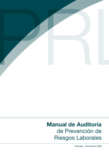 manual de auditoria