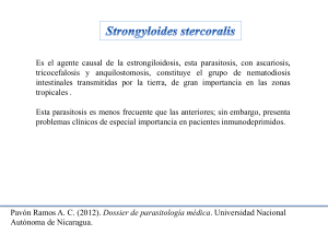 Strongyloides estercoralis y Ascaris lumbricoides