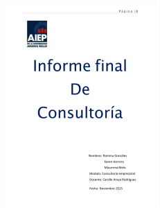 pdf-informe-de-consultoria