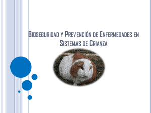 Bioseguridad y control enfermedades