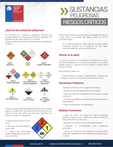 004-Ficha-Sustancias-Peligrosas