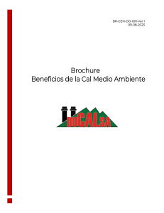 Brochure Beneficios de la Cal Medio Ambiente