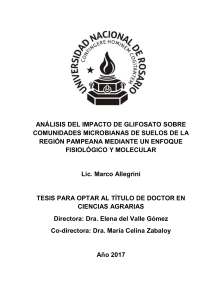 Tesis Doctoral-Allegrini