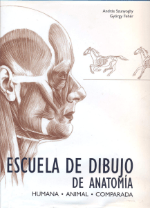 Escuela de dibujo de anatomía  humana, animal, comparada ( PDFDrive )