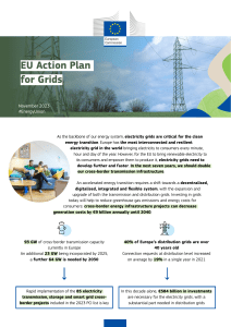 Factsheet EU Action Plan for Grids.pdf