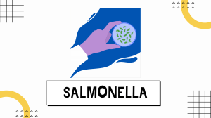 Salmonella - SeH