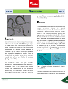 Los Nematodos