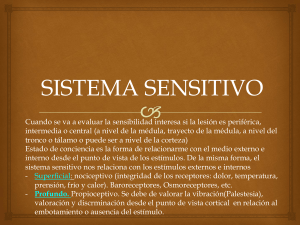 5. Sistema Sensitivo