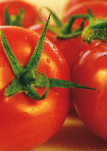 Factores climáticos y su influencia en la producción de tomate