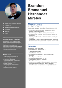 BrandonEmmanuel HernándezMireles CV-1 copia
