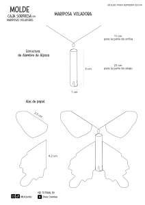 MOLDE Caja y Mariposas actualizado