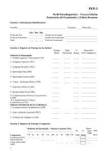 Cuadernillo de Puntuación y Resumen (1)
