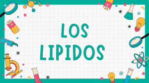 LOS LIPIDOS (1)