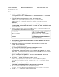 Examen diagnostico