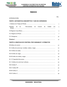 Practicas MINITAB