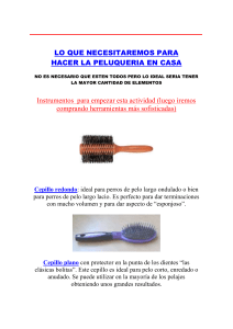 Instrumentos de Peluquería canina