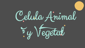 La celula animal y vegetal