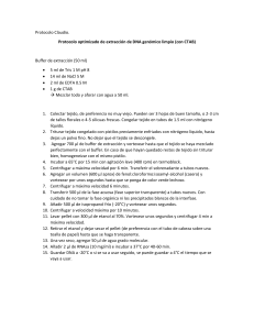 Protocolo de extracción de DNA genómico de plantas