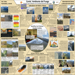 PMS-439-ES-Cartel Ambiente del Fuego