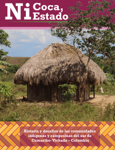 Ni Coca ni Estado. Historia y desafios de las comunidades indígenas y campesinas del Sur de Cumaribo - Vichada