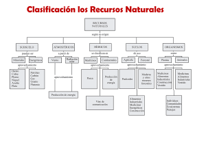 cuadro recursos naturales clasificacion