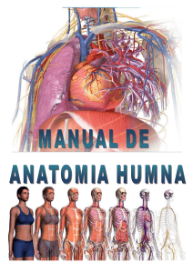 01. Manual de Anatomía Humana autor Edwin Saldana