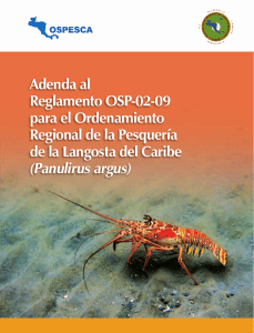 Adenda al Reglamento OSP 02-09 para la Ordenamiento Regional de las pesquerias de Langosta Espinosa en el Caribe